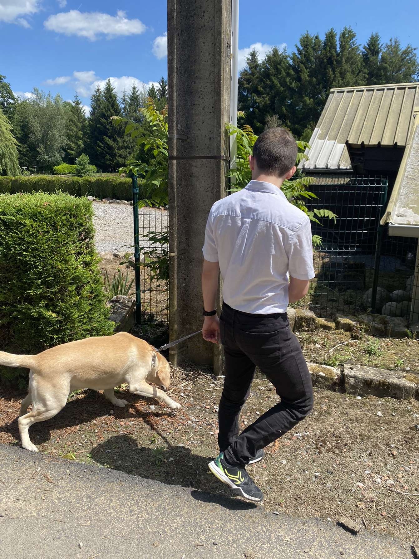 Profil de Gamal, 21 ans, baise suisse à Wallbach