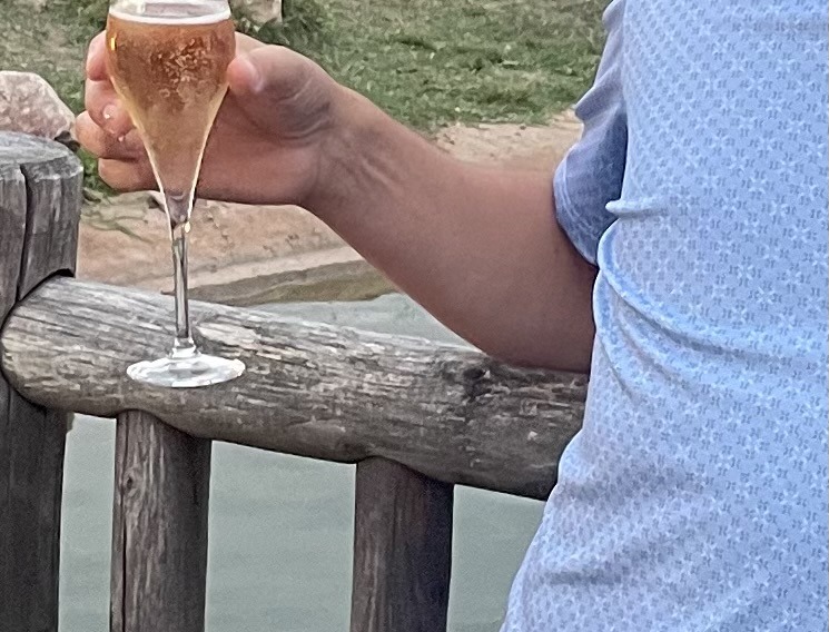 Profil de Erdi, 50 ans, baise suisse à Mühleberg