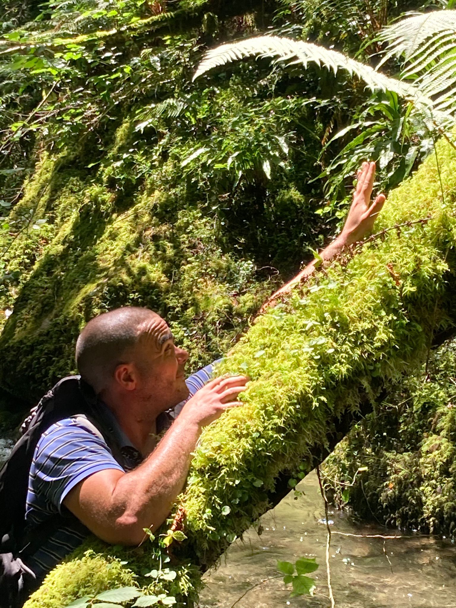 Profil de Pietro, 41 ans, baise suisse à Würenlingen