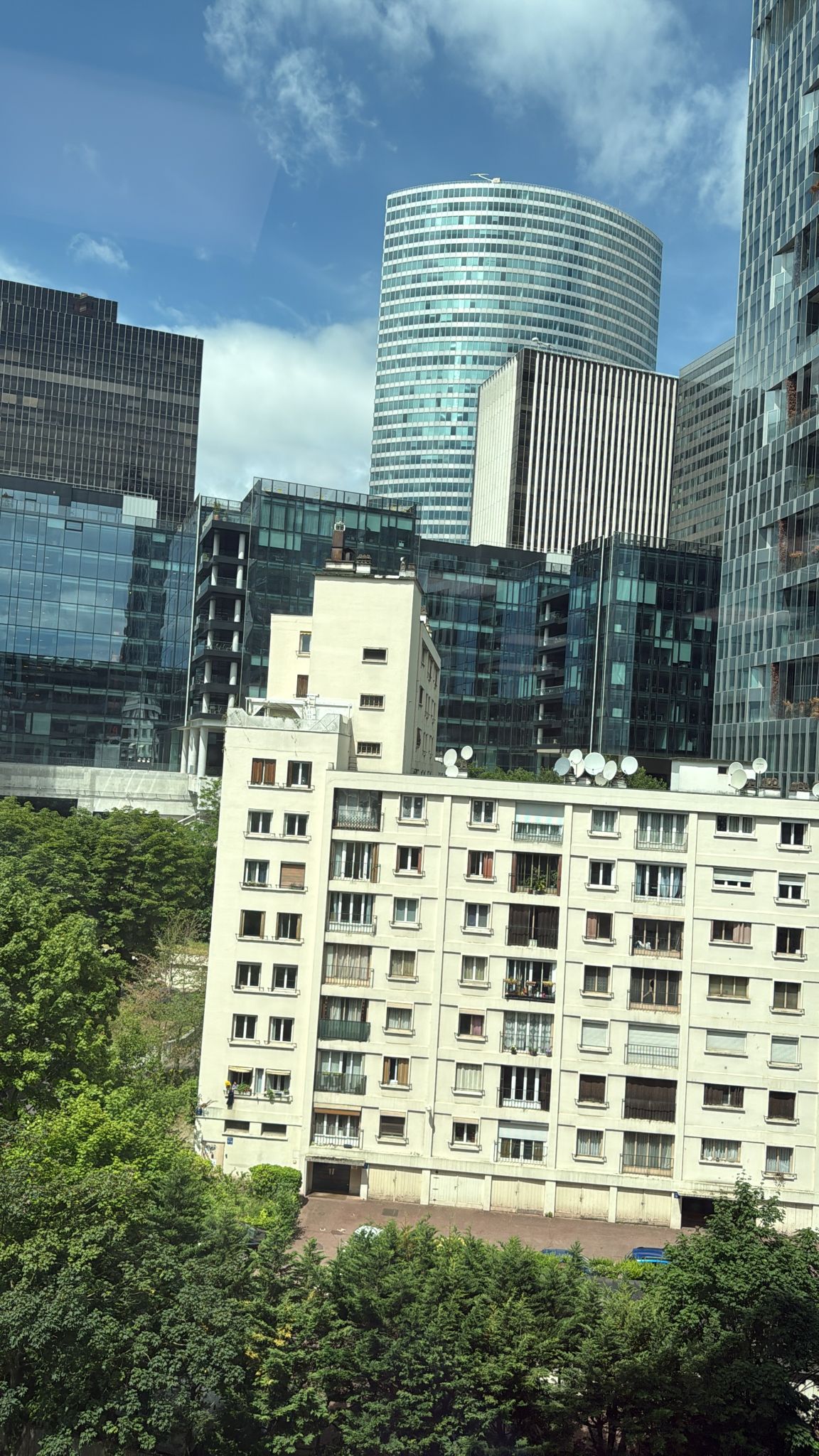 Profil de Willis, 25 ans, baise suisse à Comologno
